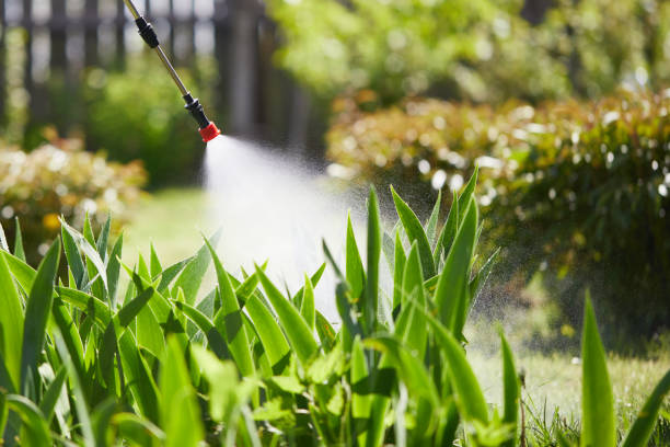 24/7 Emergency Wasp Removal experts in Bonita, CA